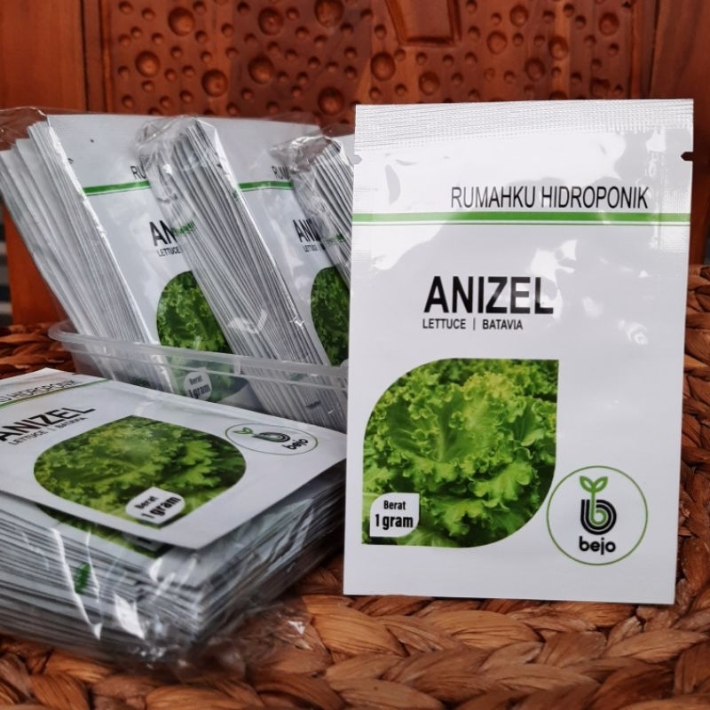 Benih Anizel 1gr - Anizel bejo - Benih Selada bejo - Benih selada import