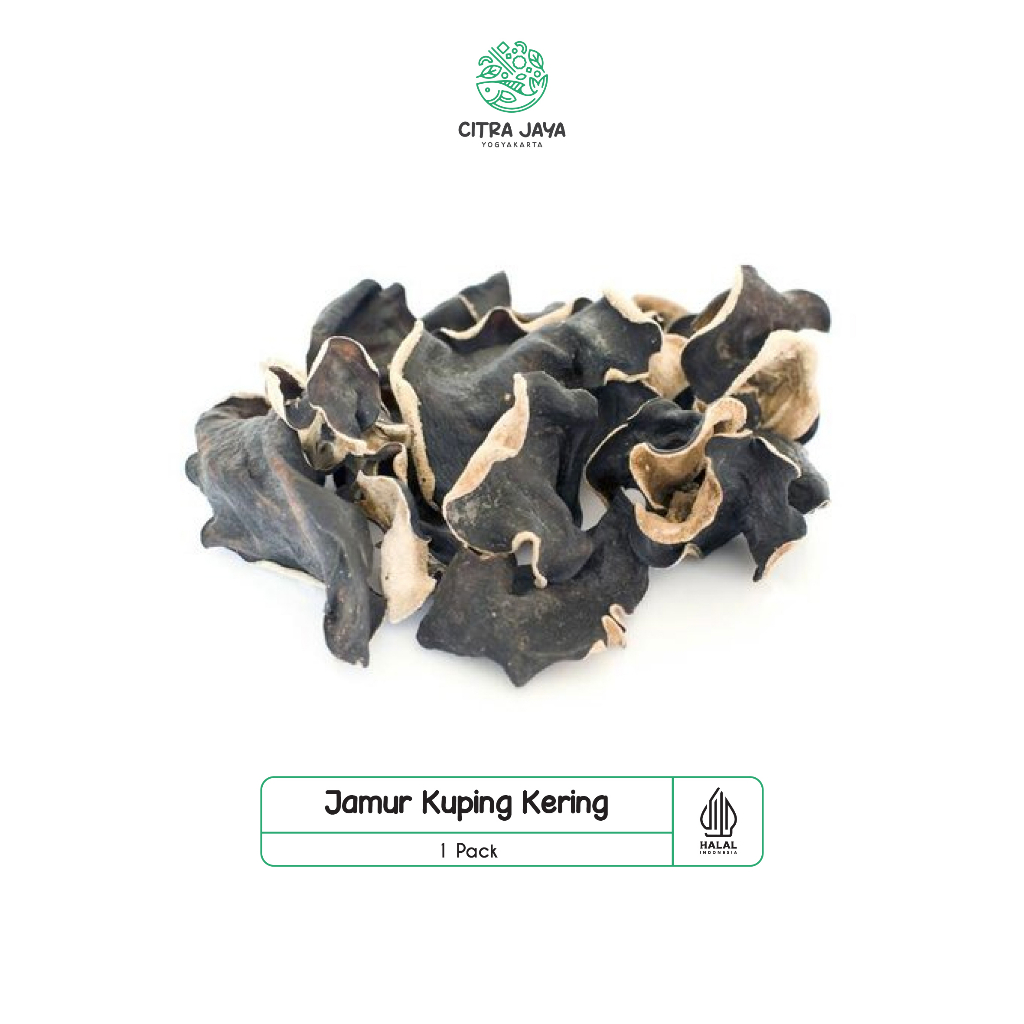 

Jamur Kuping Kering - Citra Jaya Yogyakarta