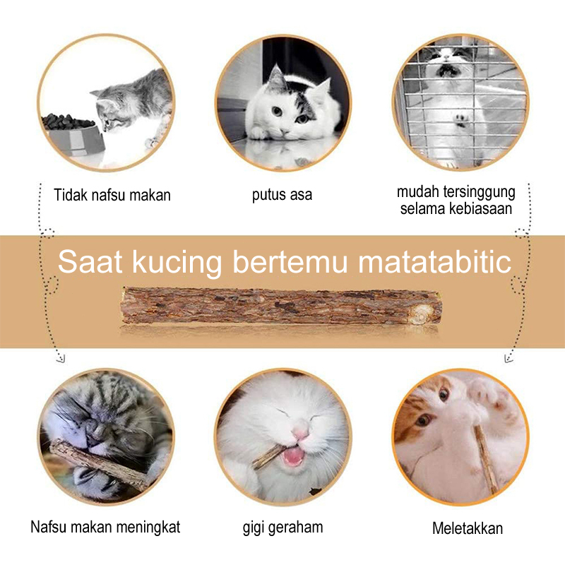 Catnip Stick Kucing Cemilan Kucing Matabi Snack Natural Matabi  Mainan Kucing