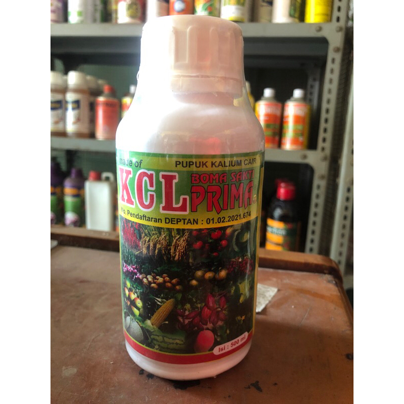 Pupuk KCL Cair 500ML Pembesar Buah