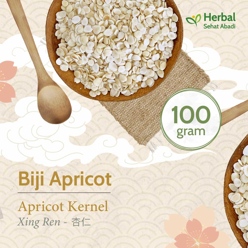 

Apricot Kernel 100 gram / Xing Ren (杏仁) / Biji Apricot