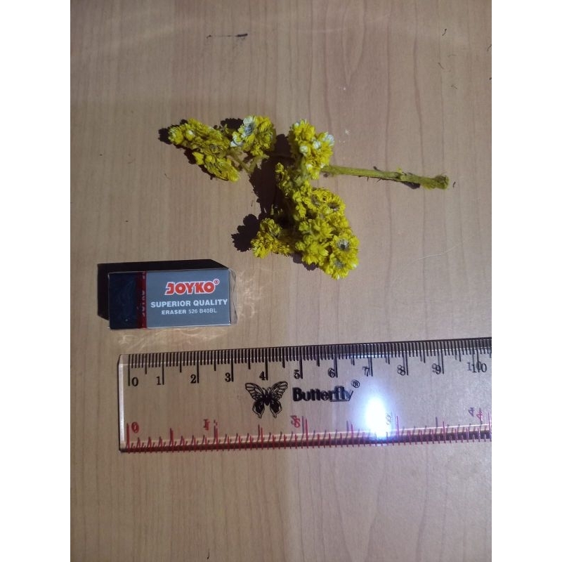 

(SATUAN) PENGHAPUS JOYKO KECIL HITAM B40BL