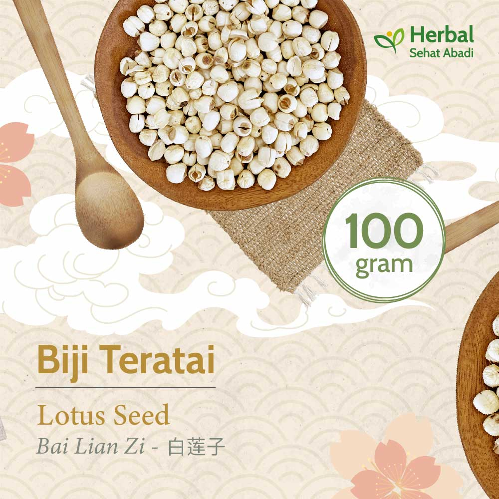 

Biji Teratai 100 gram / Lotus Seed / bai lian zi (白莲子) / lien ce