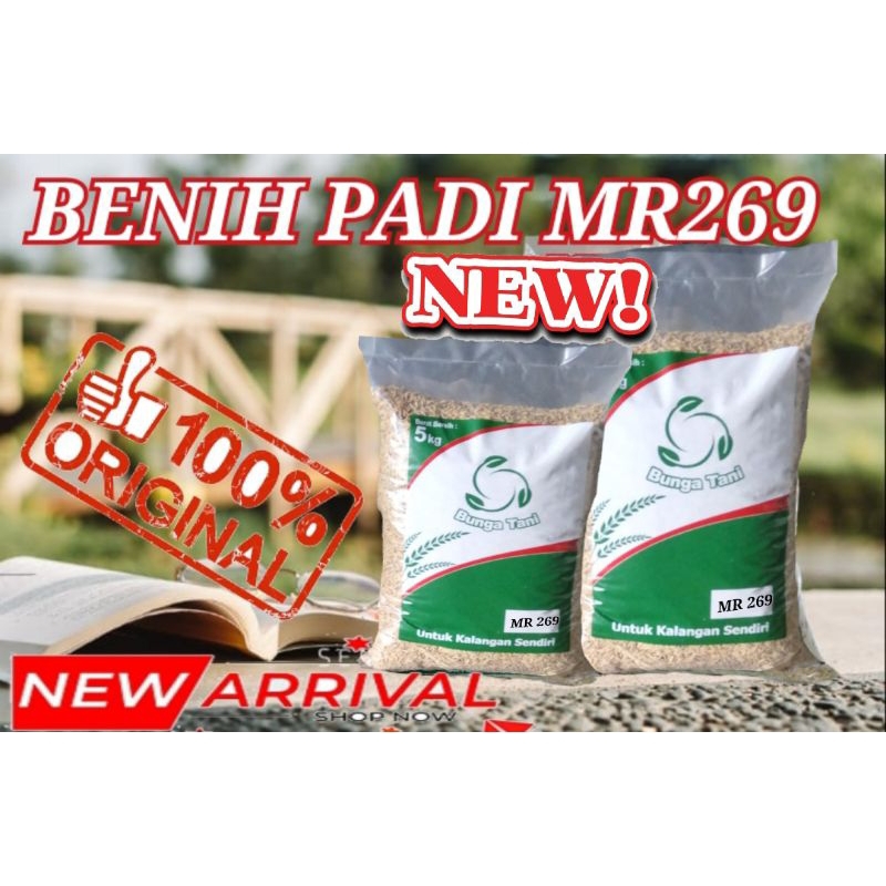 BENIH PADI MR269 5KG TERBARU ORIGINAL