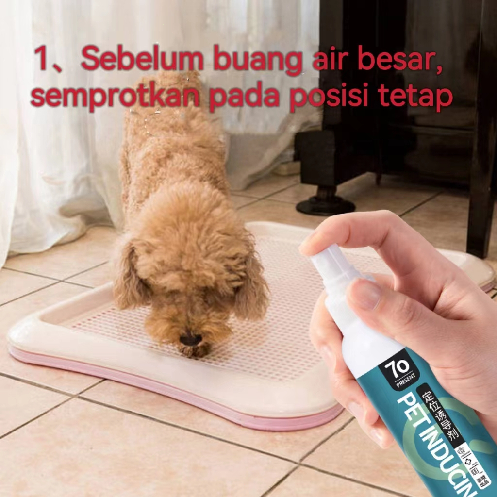 Spray Melatih Pipis dan Pup Anjing   /Pet Dog Potty Toilet Training