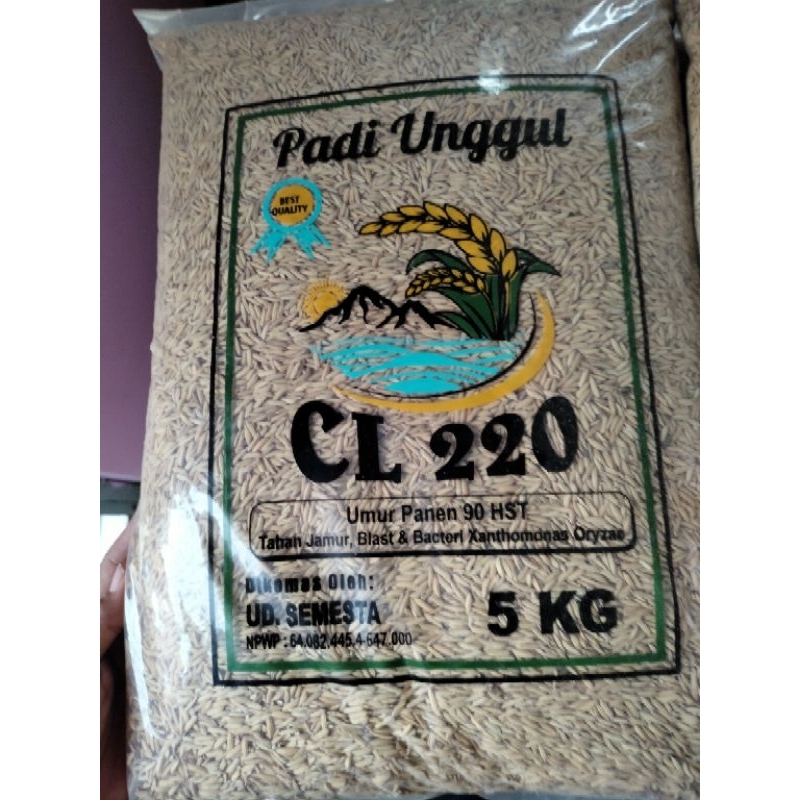 5KG PADI CL-220, PADI GALUR, MUDAH PERAWATAN