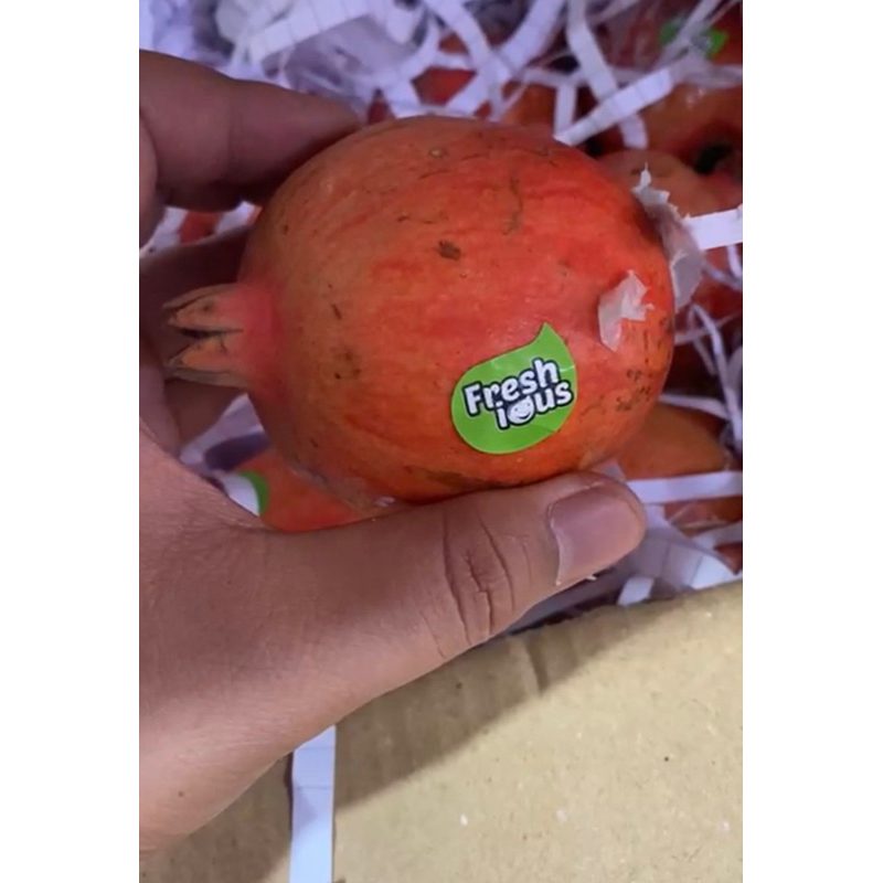 

DELIMA BANDUNG | BUAH SEGAR BANDUNG | WARUNG CEU ENGKAY