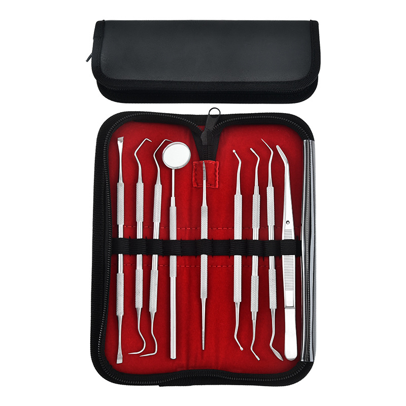 Set Alat Perawatan Gigi Set 9 in 1 Set Peralatan Dokter Gigi Stainless Steel Free Dompet