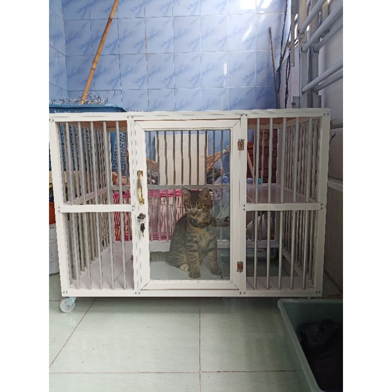 KANDANG KUCING ALUMINIUM DENGAN RODA PINTU KACA DAN KUNCI