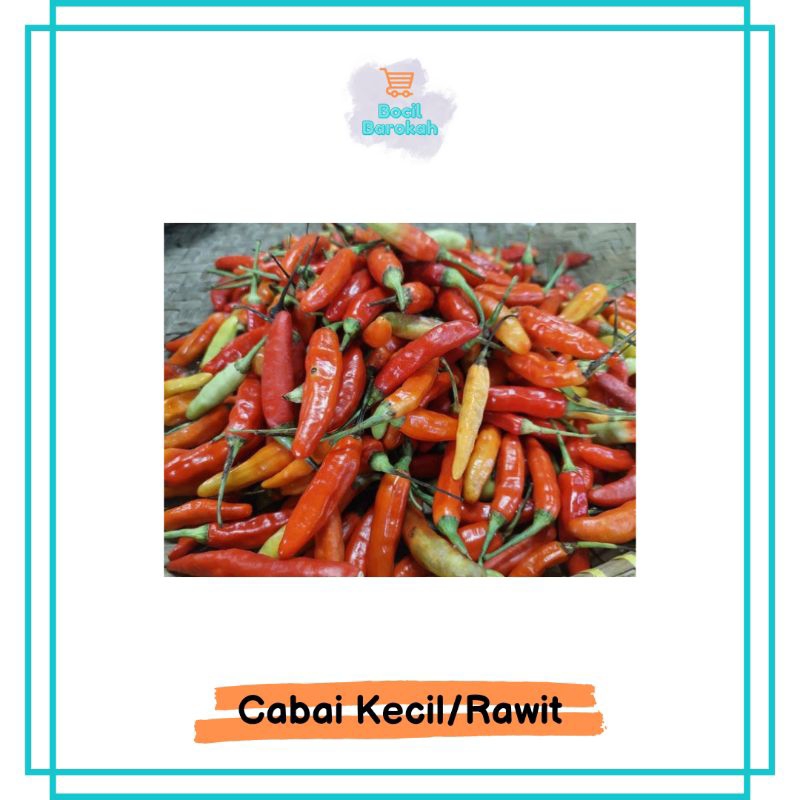 

CABAI RAWIT / CABAI KECIL / LOMBOK / CABE 100 GRAM DAN 250 GRAM BOCIL BAROKAH