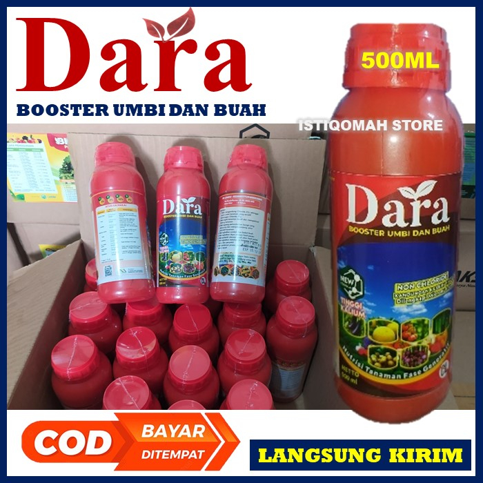 Pupuk Booster Pembesar Buah Jagung Terbaik DARA 500ML Pupuk Kalium Cair Pembesar Buah Jagung Paling Manjur - Pupuk Nutrisi Tanaman Jagung Fase Generatif Non Chloroide Kandungan K Lebih Tinggi dilengkapi Micronutrient