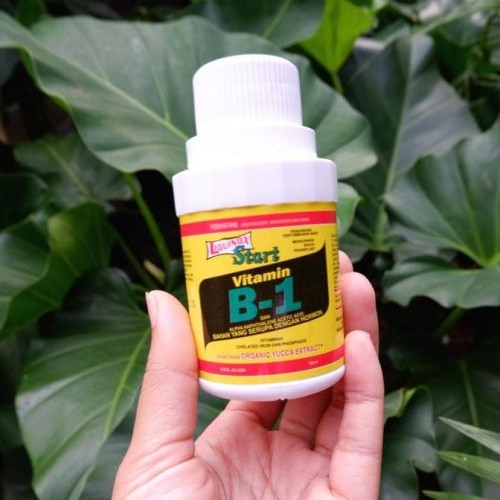 vitamin B1 - vitamamin nutrisi aglonema - vitamin aglonema murah meriah - vit b1 aglonema hias(bisa 
