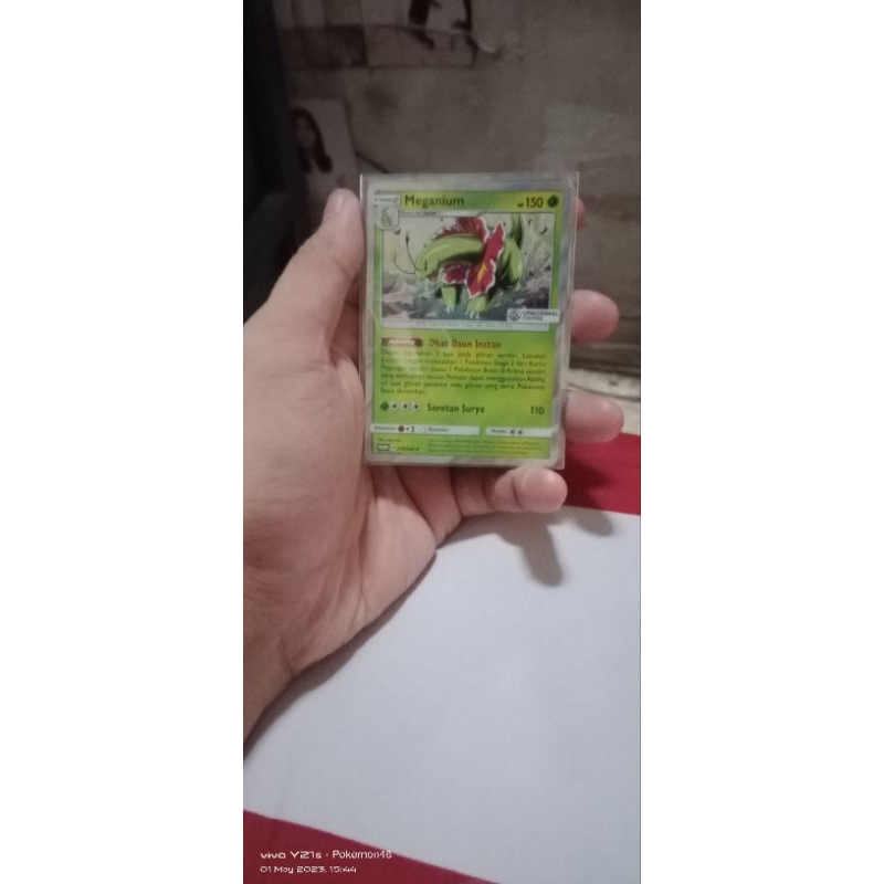 Kartu pokemon bahasa Indonesia promo upnormal Meganium