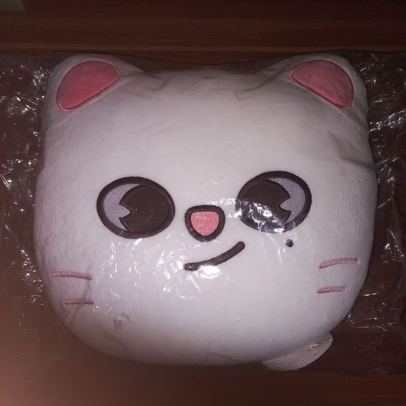 [BOOKED] Cushion Victory Stray Kids Skzoo Jiniret (unsealed)