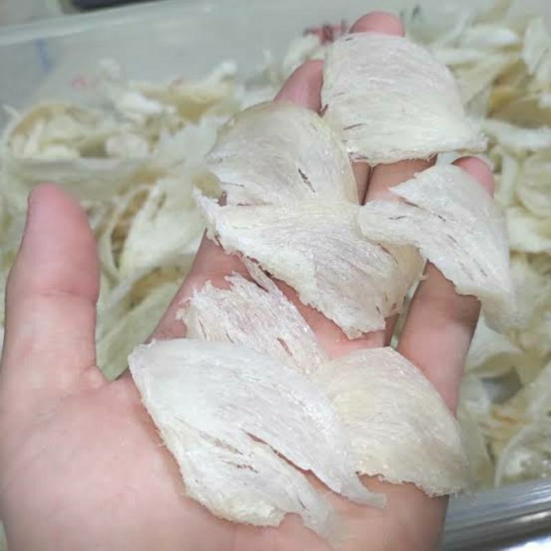 

sarang burung walet patahan 10 gram