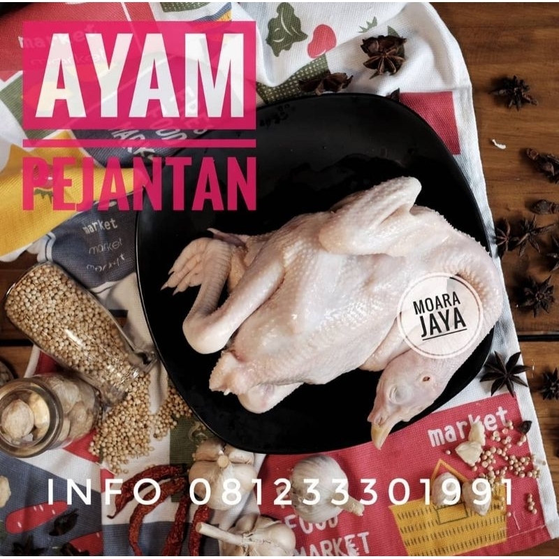 AYAM PEJANTAN