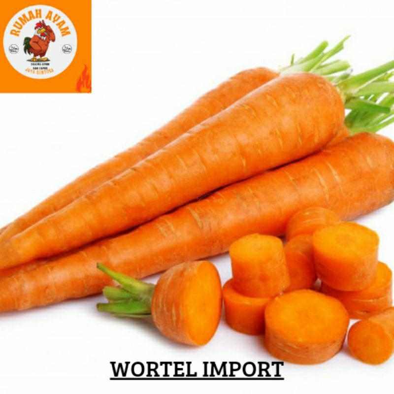 

WORTEL LOKAL / IMPOR 1KG - 250G - SEGAR