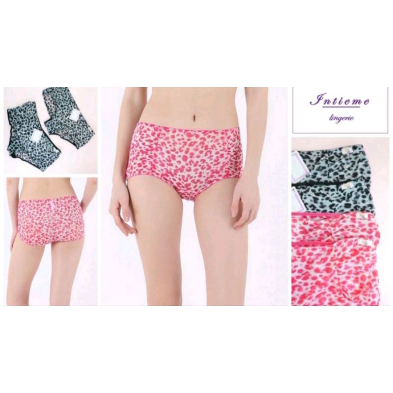 Panty Mesh Leopard Intieme Lingerie