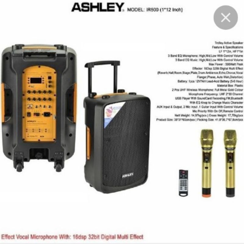 speker karaoke portable ASHLEY 12in ir 500