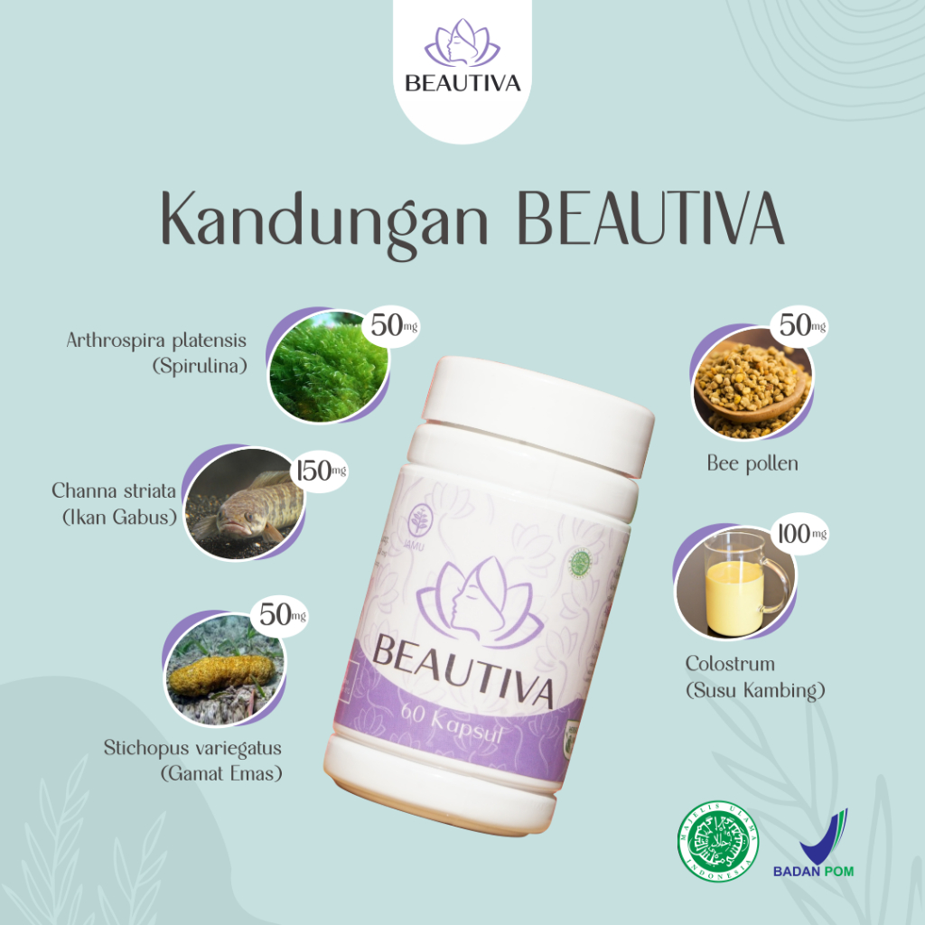 Kapsul Kolagen dengan Ekstrak Gamat Emas dan Ikan Gabus Pencerah Kulit 60 Kapsul