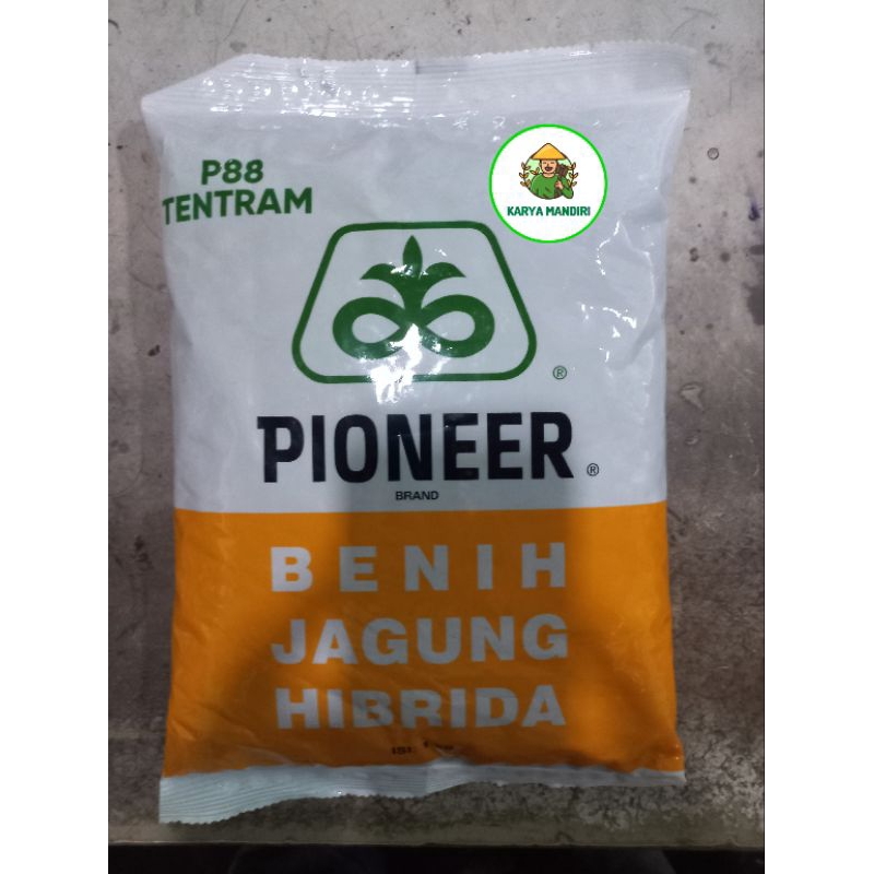 Benih Jagung Hibrida Pioneer P88 Tentram