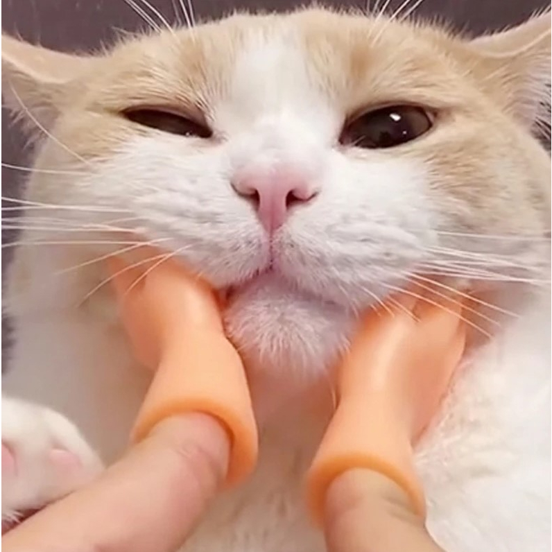 Mainan simulasi telapak tangan mini untuk kucing/anjing (sarung tangan jari kecil)