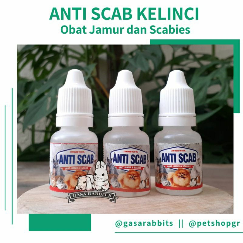 OBAT SCABIES KELINCI - OBAT KELINCI SCABIES - ANTI SCABIES KELINCI - OBAT SCABIES OLES