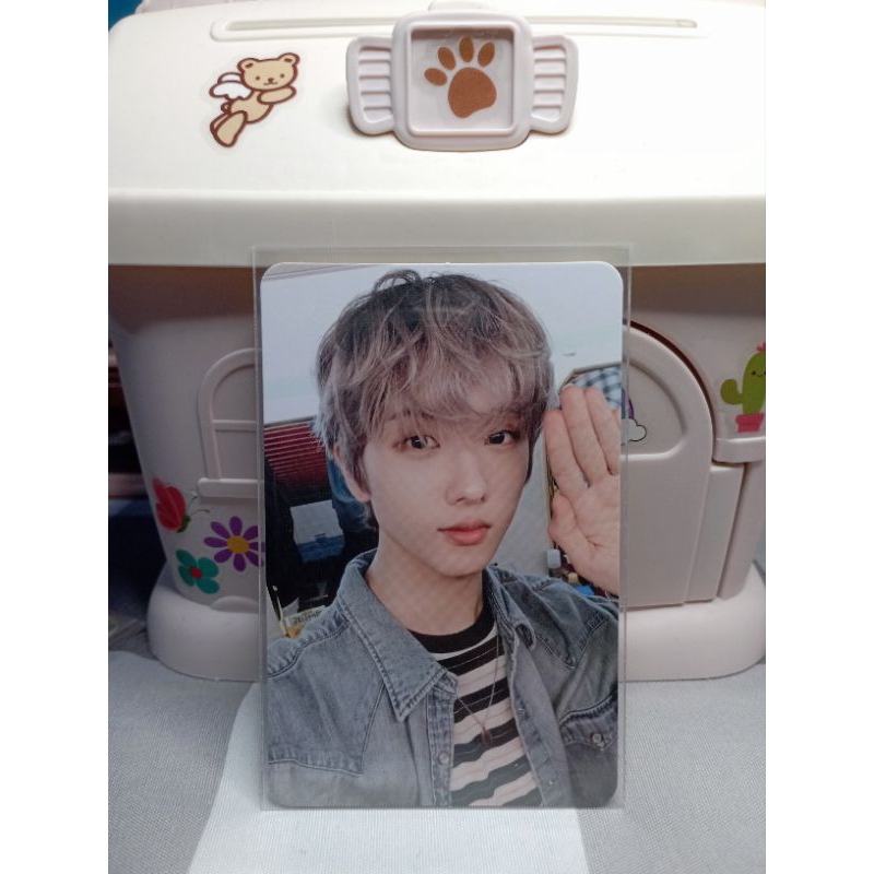 Photocard Jisung chilling nct dream