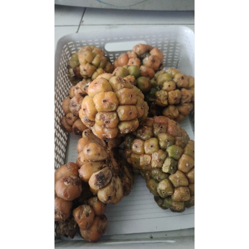 asam cikal/patikala 250gr