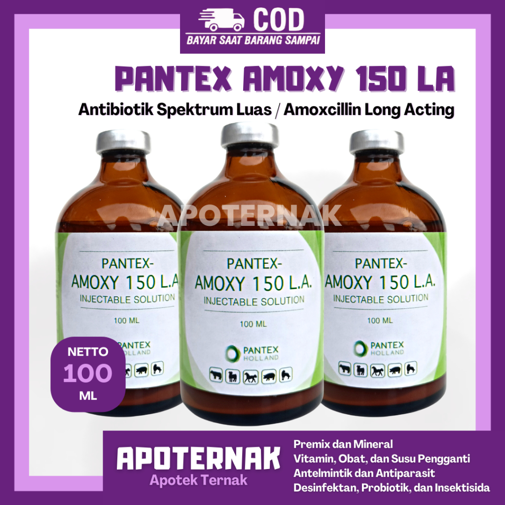 PANTEX AMOXY 150 LA | Obat Infeksi Hewan Long Acting | Like SK Amox LA Longamox Betamox Intramox | Pantex Holland | Apoternak