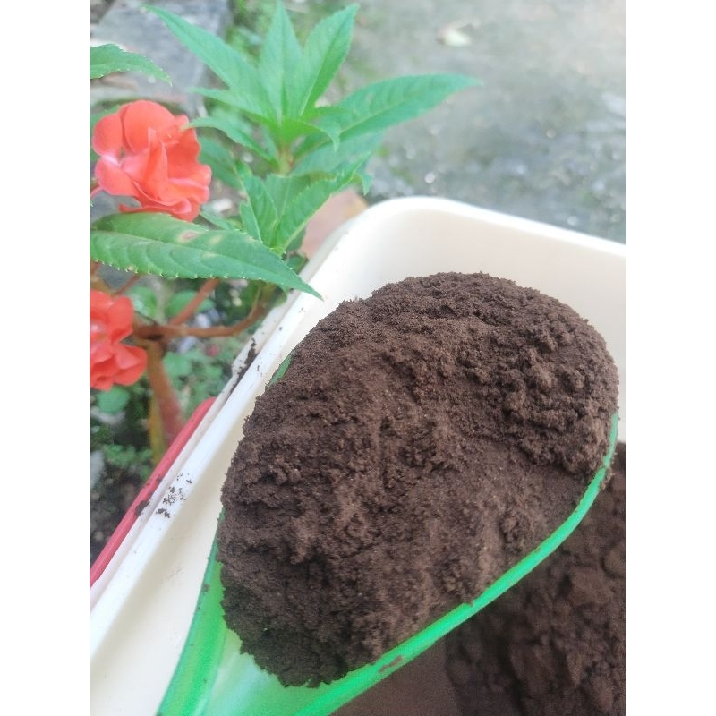 

Bubuk Kopi Khotok