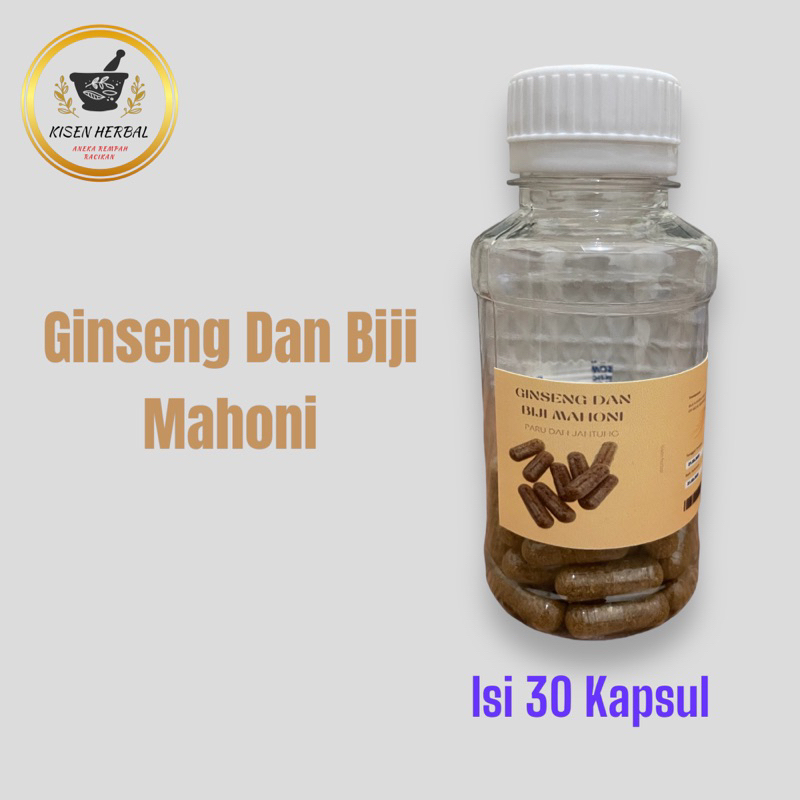 KAPSUL GINSENG DAN BIJI MAHONI