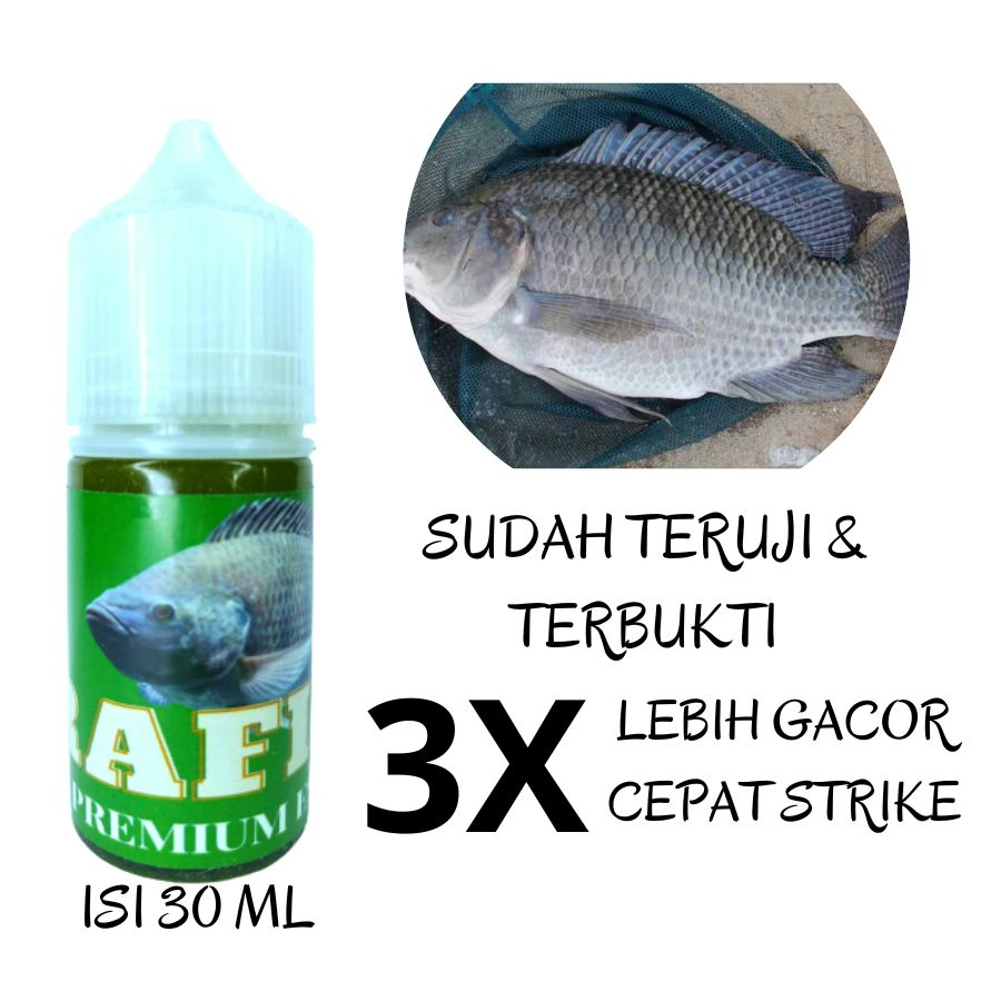 ESSEN IKAN NILA LIAR PALING AMPUH , paling banyak dicari essen ikan nila semua media masuk
