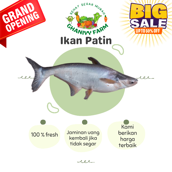 

Ikan Patin Fresh 1 kg