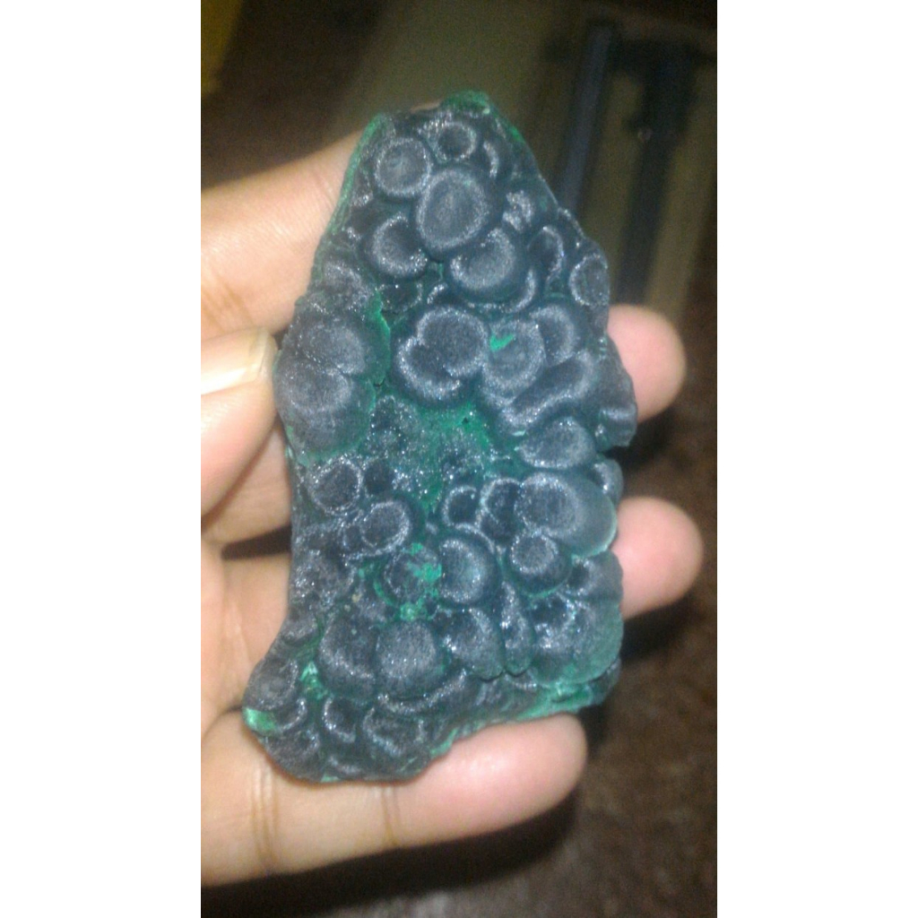 BAHAN BULU MERAK 184Gr ROUGH BULU MERAK