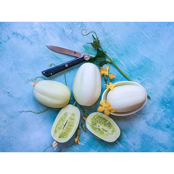 Benih Bibit Biji - Cucumber Dragon Egg Mentimun Telur Naga Heirloom Seeds - IMPORT