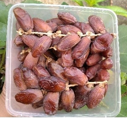 

Kurma Tunisia tangkai 500gr premium stok baru fresh - kurma amanah