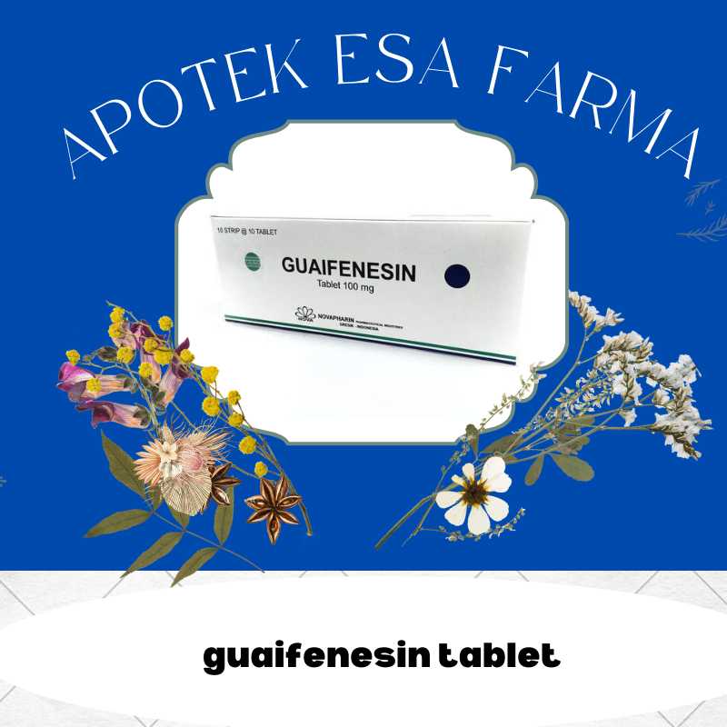 Guaifenesin 100 mg 10 Tablet - Obat Batuk Berdahak