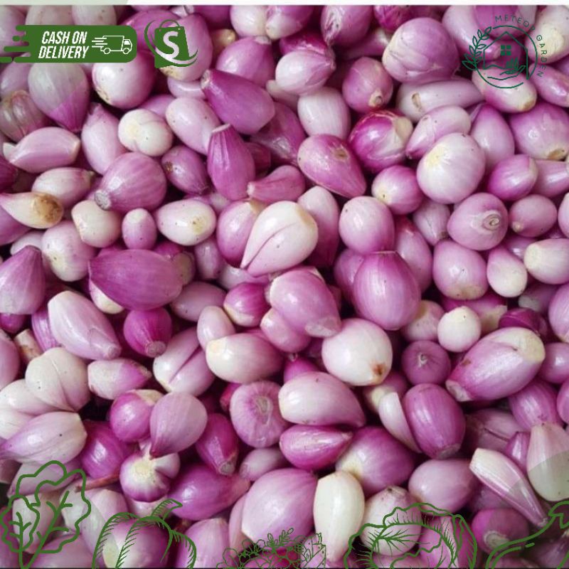 

BAWANG MERAH KUPAS (Berat 500gr)