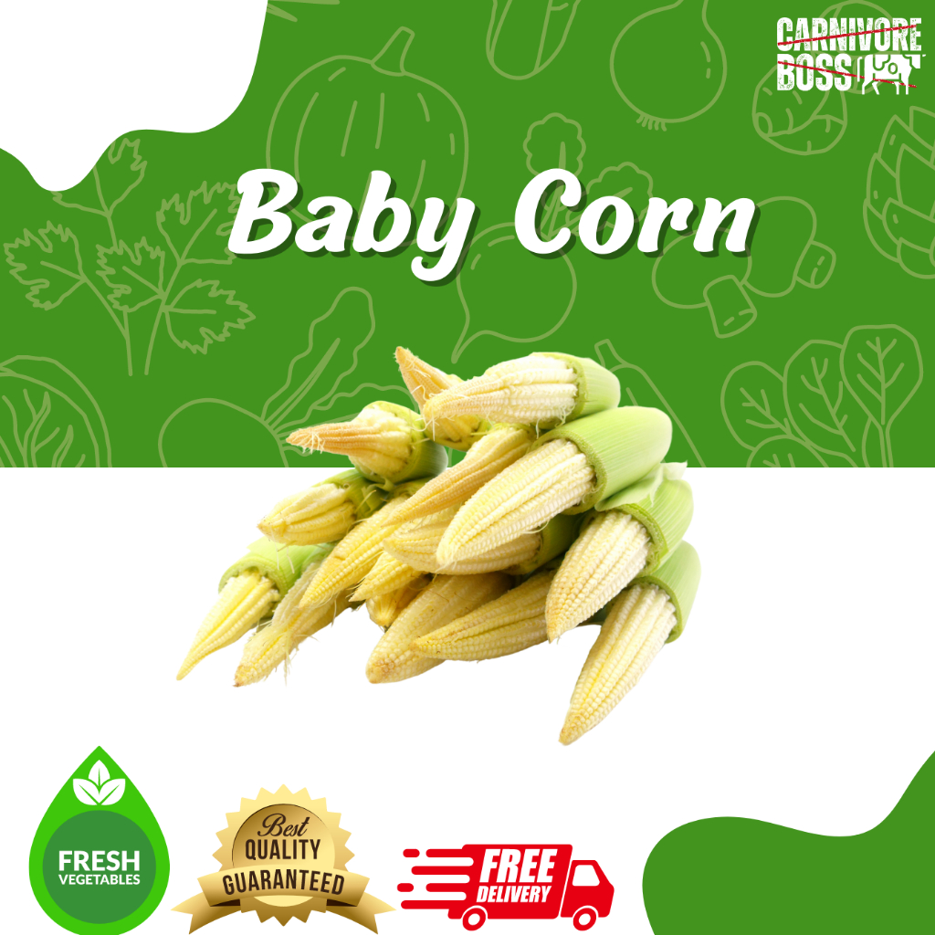 

BABY CORN SUPER FRESH 250 GRAM / JAGUNG MUDA / SAYUR