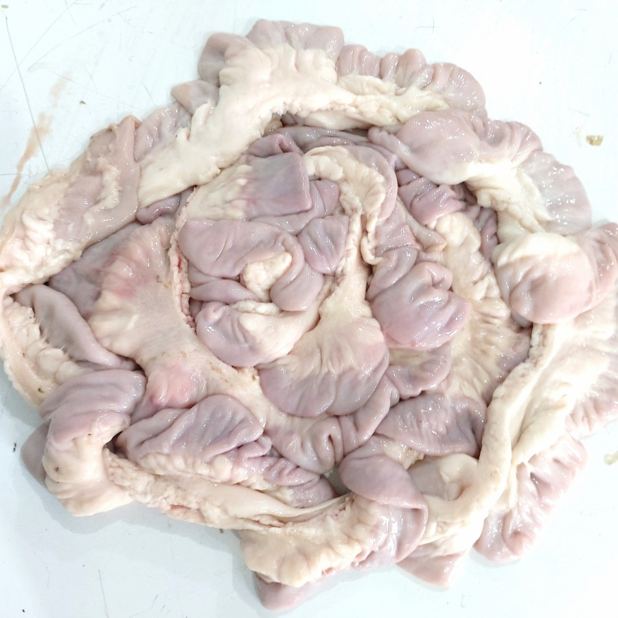 

Usus Sapi Segar - Fresh Beef Intestine 1/2kg - 1kg, Plastik PE