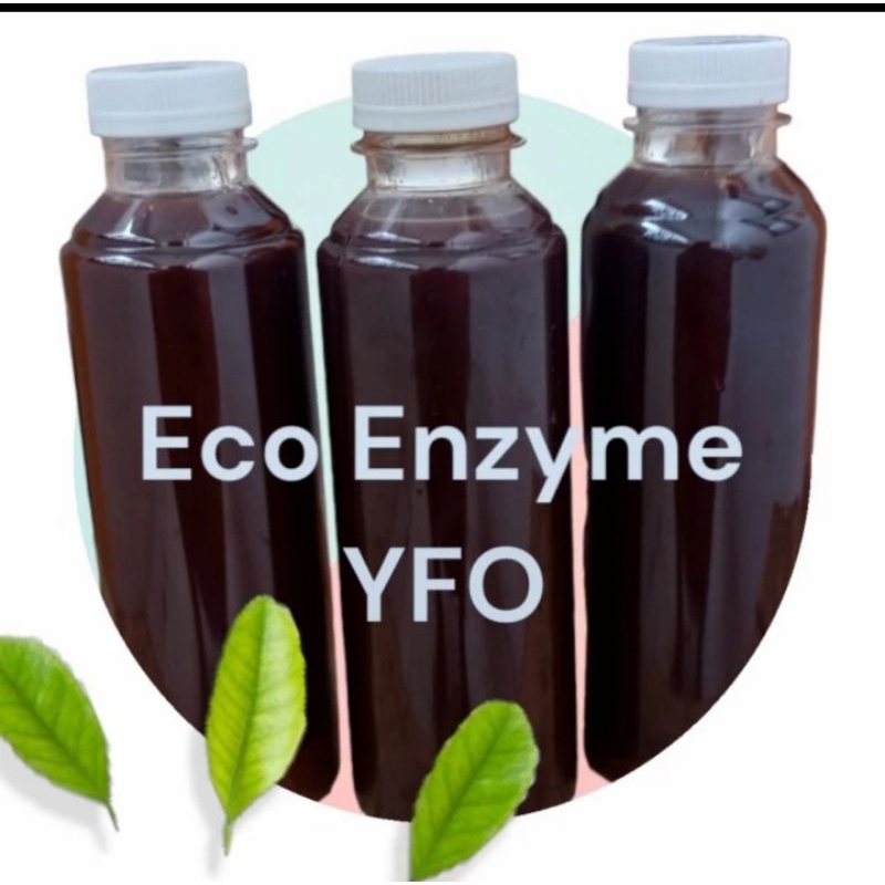Eco enzym enzyme pupuk organik serbaguna