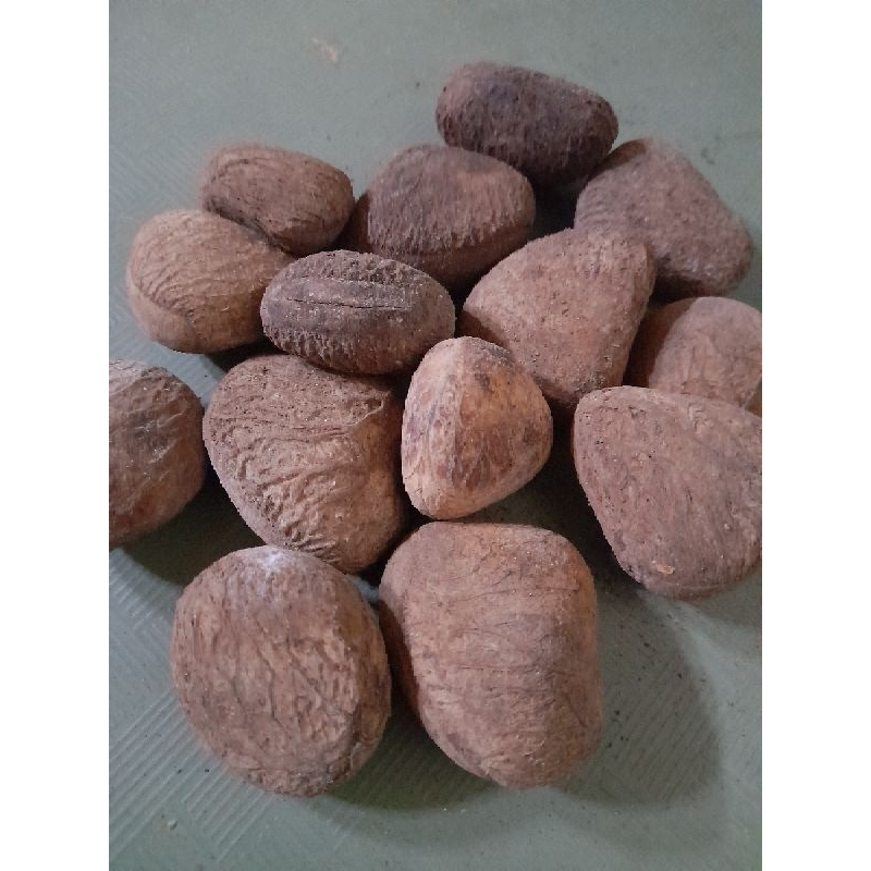 

kluwek rawon/rempah-rempah