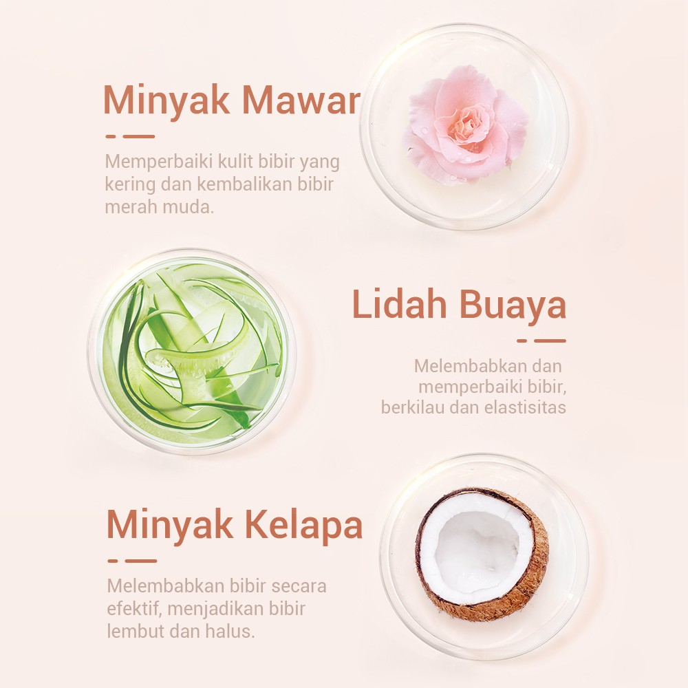 ✨ AKU MURAH ✨ LANBENA Lip Mask Balm SERIES