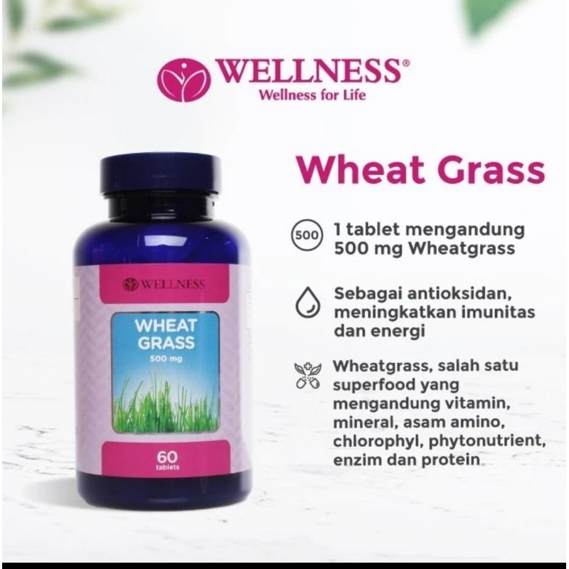 WELLNESS wheat grass 500mg 60 multivitamin antioksidan