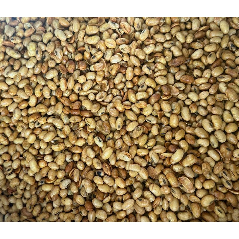 

kacang kedelai pelangi