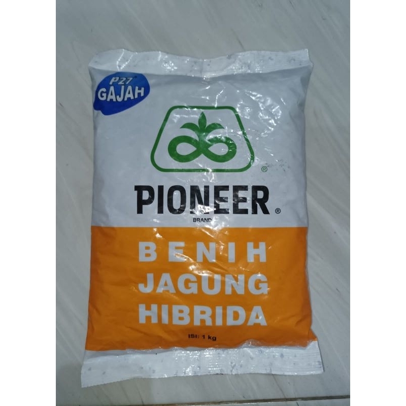 Benih Jagung Hibrida Pioneer P27 Gajah Extra Regular