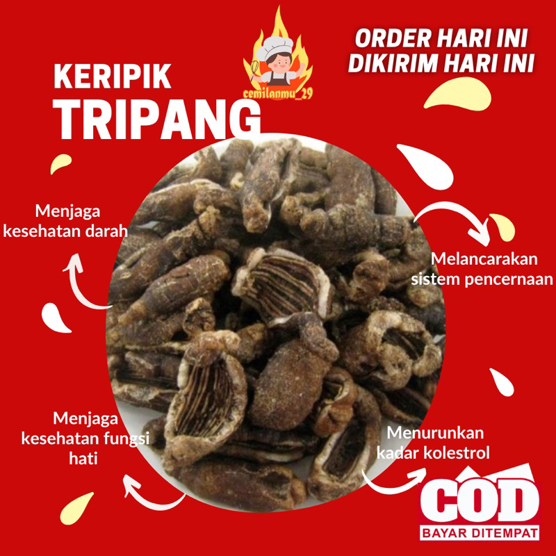 

(PROMO) MURAH CEMILAN KERIPIK Teripang Tripang Viral Populer Terlaris