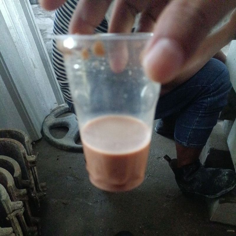 

kopi luwak