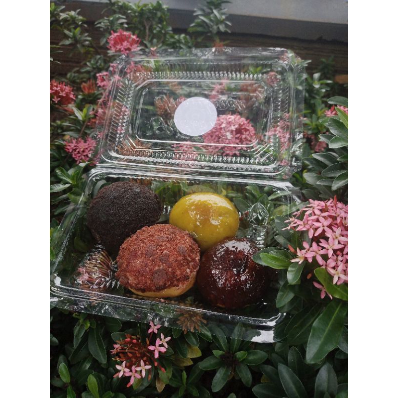 

Domini donat mini